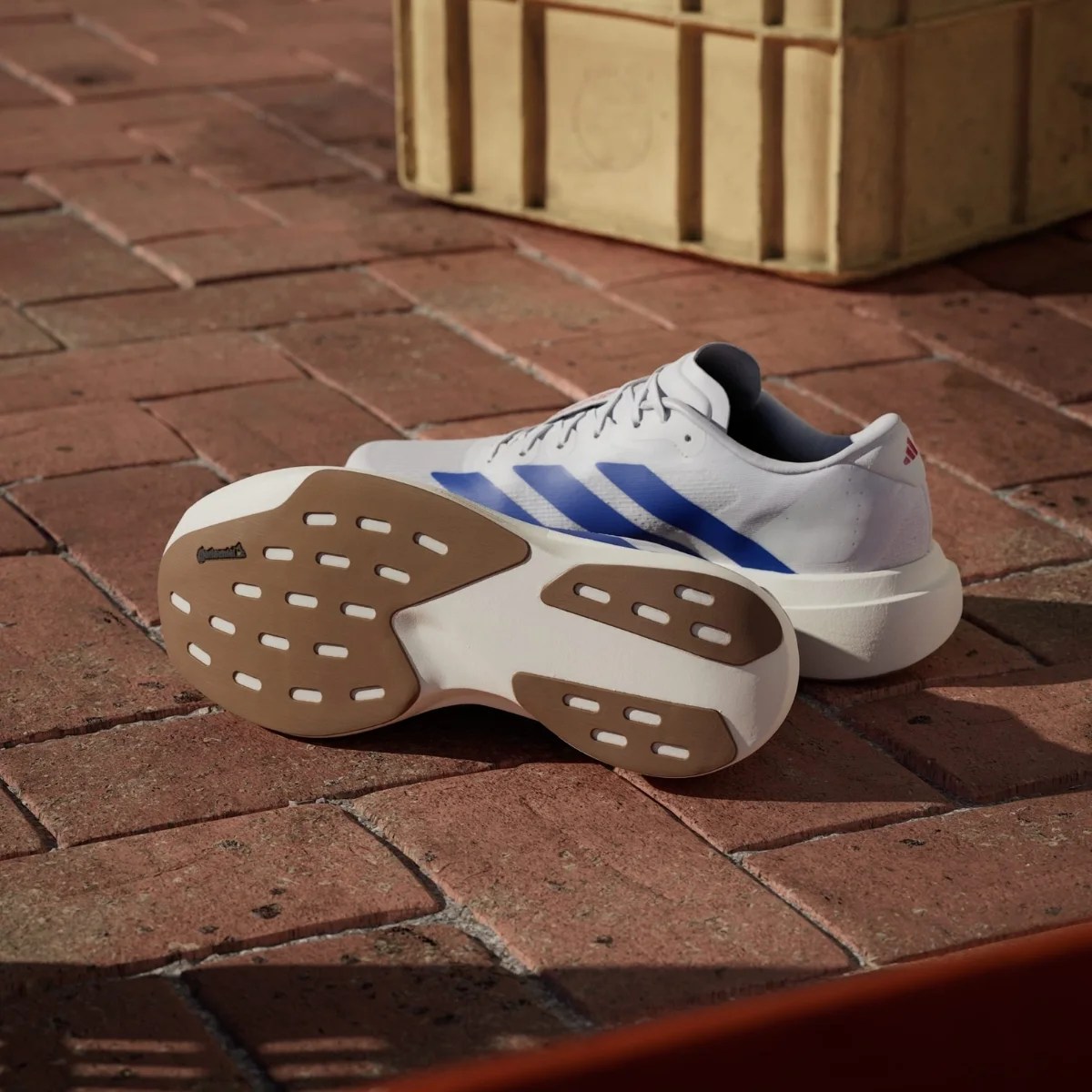 Giày chạy bộ Adidas Adizero Evo SL White Blue JS4494 — ảnh 2